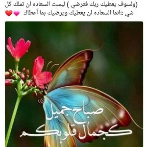 Meet your Posher, Hanan